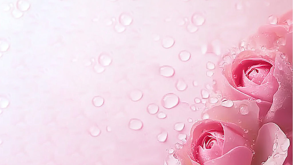 飘落花瓣动态背景图片AI