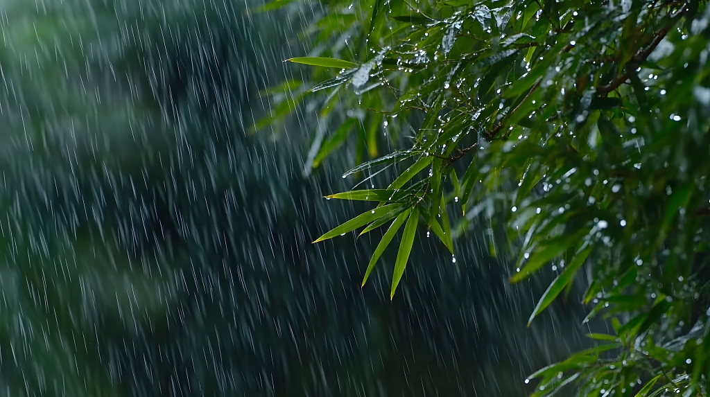 雨中竹叶特写绿色背景自然植物画面AI