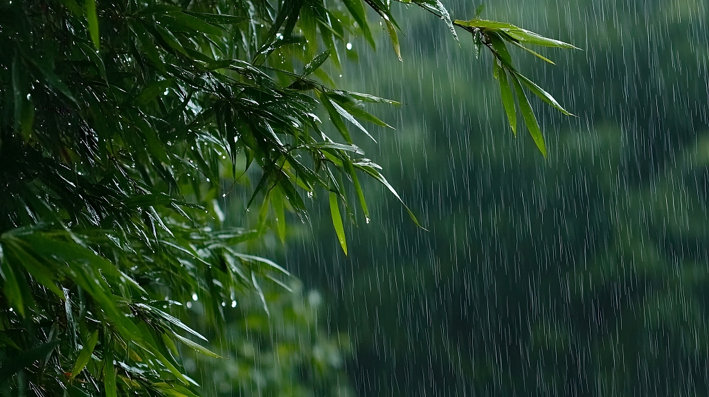 竹林雨中绿色植物细节自然雨景图AI