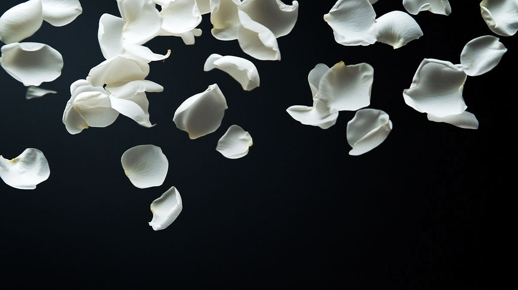 飘落花瓣背景图片AI