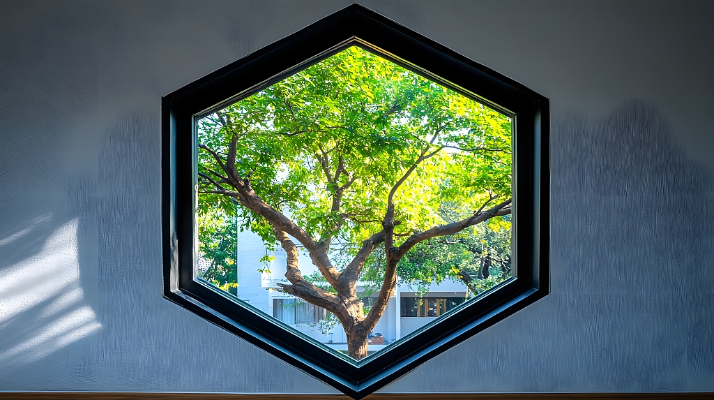 中国园林六角窗框景树影构图设计参考图AI