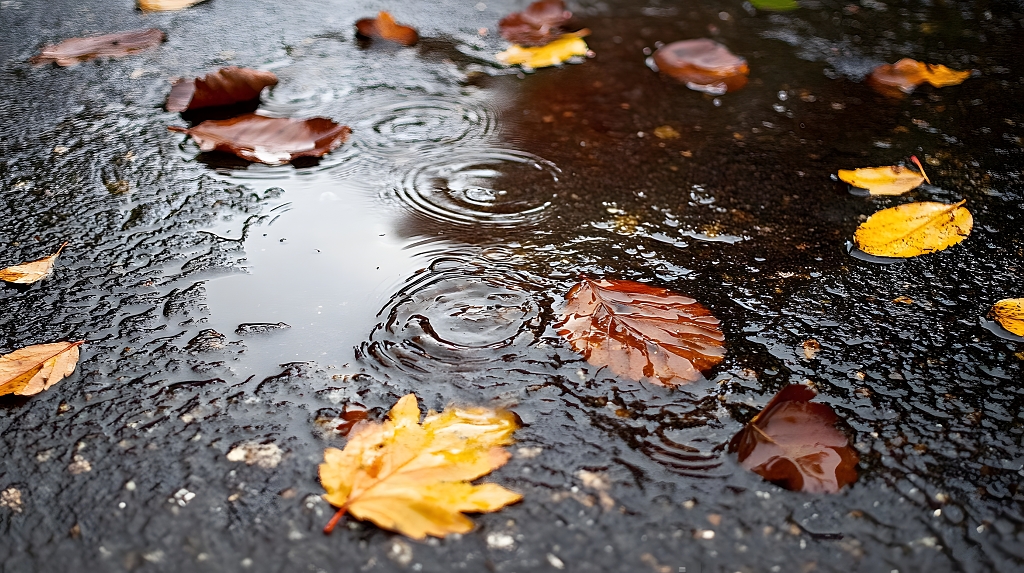 秋日落叶雨中积水倒影湿润街道自然特写摄影图AI