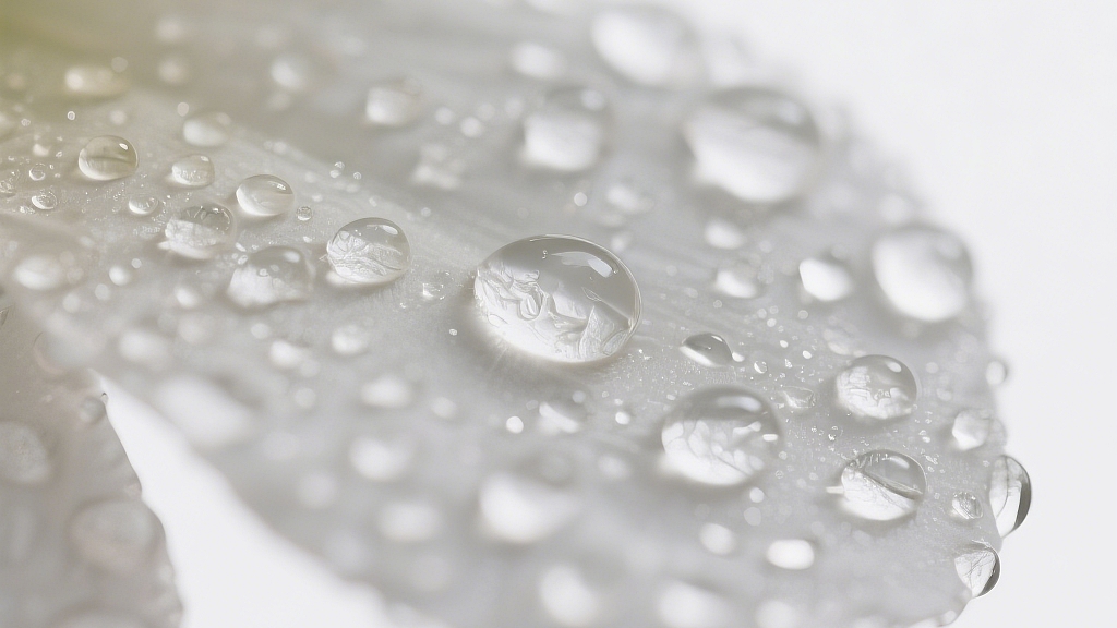 一张露珠覆盖的花瓣照片展现了微观世界的美