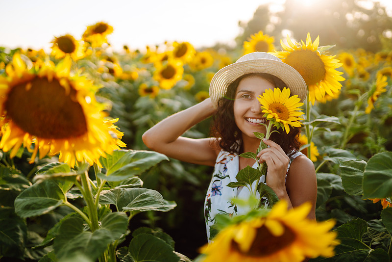 日落时分，一名年轻女子在长满向日葵的田野里漫步。