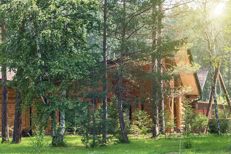 密林中的一座孤零零的公寓楼。隐私的概念