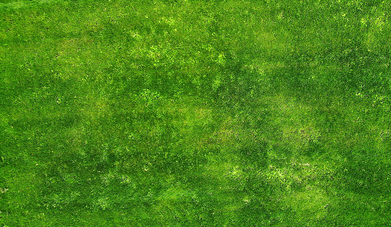 天线。绿草纹理背景。上面的视图。