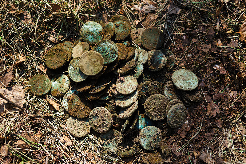 森林里的真金白银。