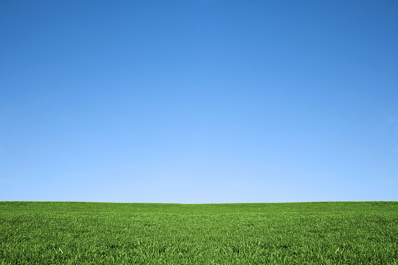 郁郁葱葱的绿草和凉爽的蓝天背景自然田野