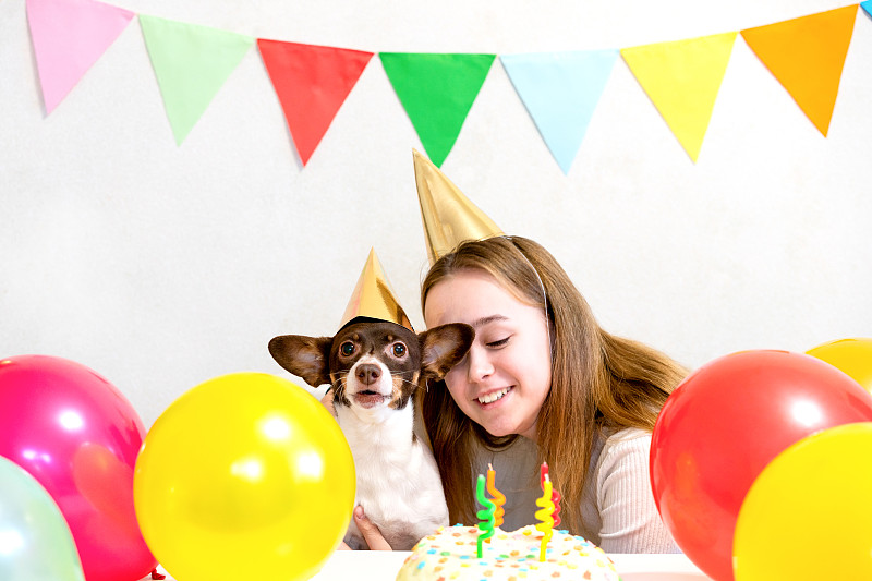 可爱的小有趣的狗与生日蛋糕和派对帽子庆祝生日
