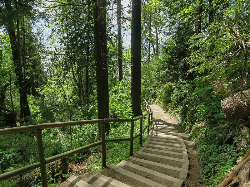 春天沉船海滩的楼梯