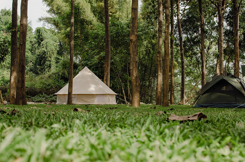 帐篷露营区，露营景观。大树绿草的自然区域(颗粒效果处理)