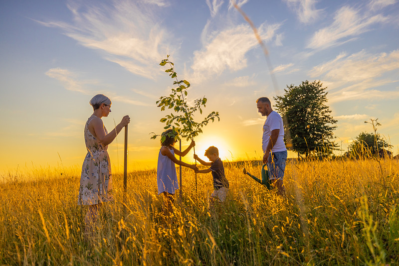 父母看着孩子们在草地上种树