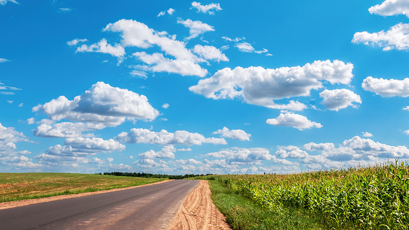 一条乡间小路穿过地平线，在明亮的蓝天下，在刚割过的田野和玉米地之间。明亮的颜色。