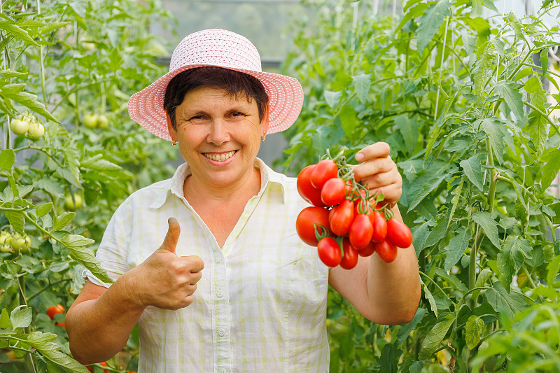 非常快乐的成熟女人，拇指朝上，手里拿着西红柿，向镜头展示
