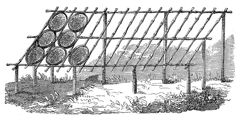 竹子是用来晒茶的