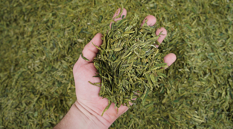 一只手捧着绿茶叶子