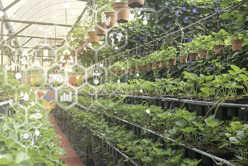 植物背景与生物化学结构。自然和科学概念与虚拟图标在背景。