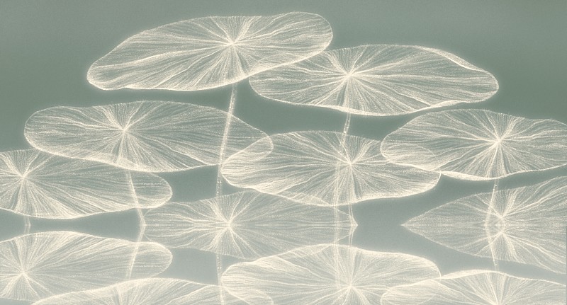 自然抽象背景。画的树叶。梦的艺术概念