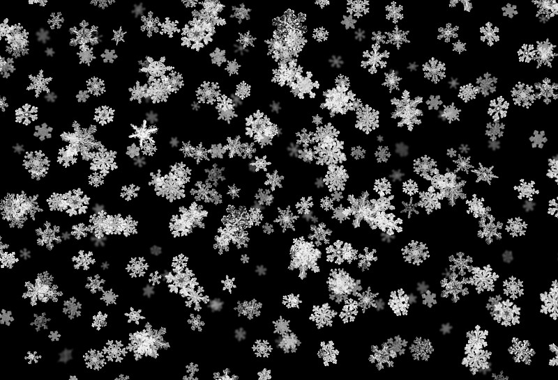 真正的雪花组成