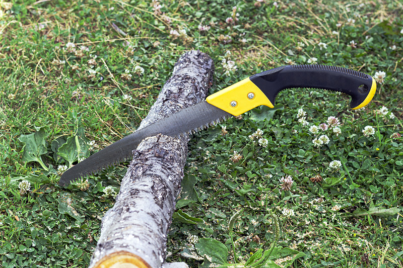 花园锯，用钢锯修剪花园果树