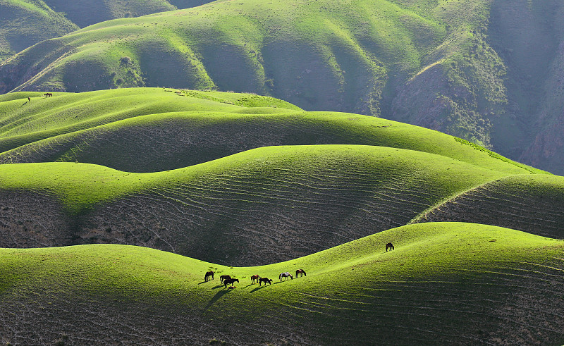 中国新疆胡朝草原的神秘景观