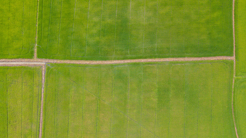 泰国农村各种农业类型的农田背景