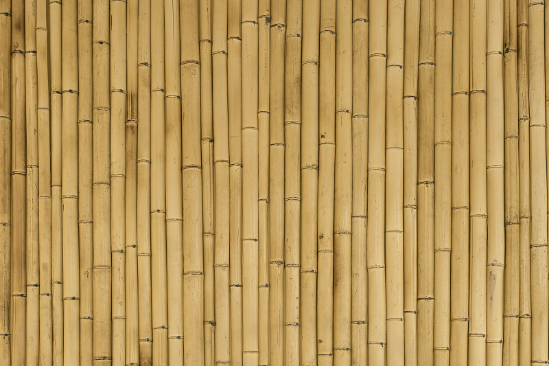 竹子的背景。木纹竹植在装饰墙上