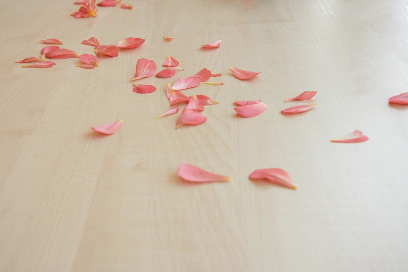 鲜嫩的粉色花瓣散落在一个轻木桌面上