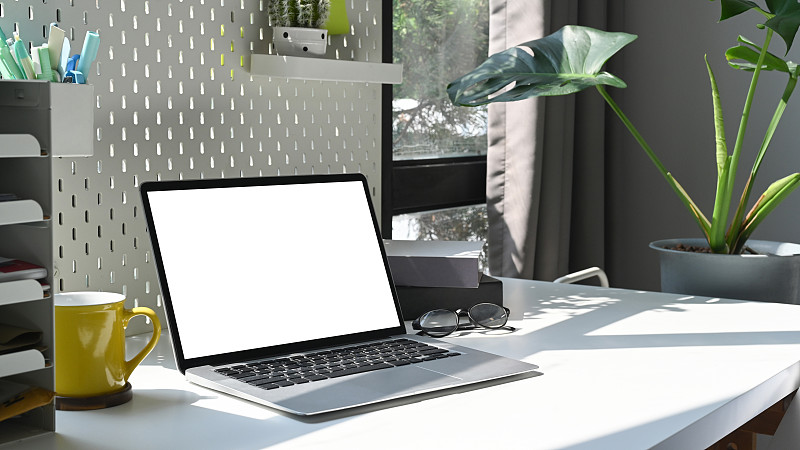 家庭办公办公桌，电脑笔记本电脑，咖啡杯，书籍和室内植物。