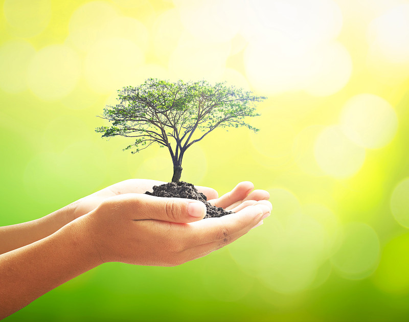 世界环境日概念