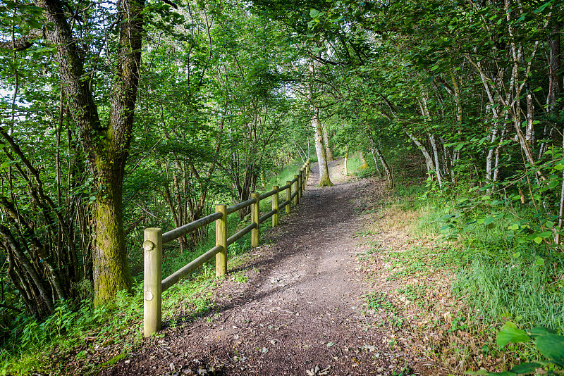 法国博若莱，Chiroubles梯田的徒步小路