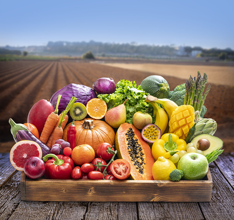 各种水果和蔬菜在一个木盒后新鲜收获犁过的田地