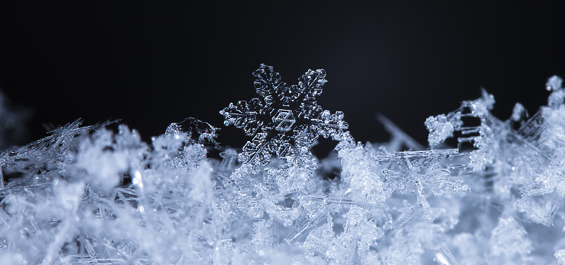 天然雪花上的雪花