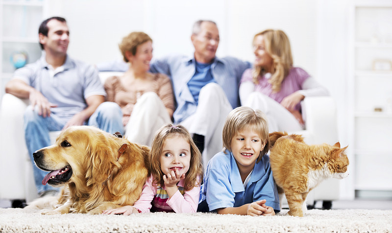 快乐的家庭和宠物