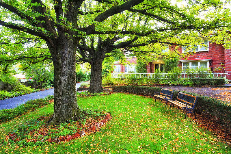 塔斯霍巴特公园的长椅