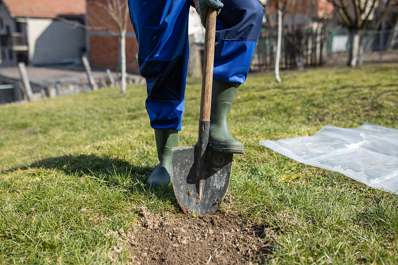 一个年轻人在他的院子里用铁锹挖了一个洞来种一棵梨树。