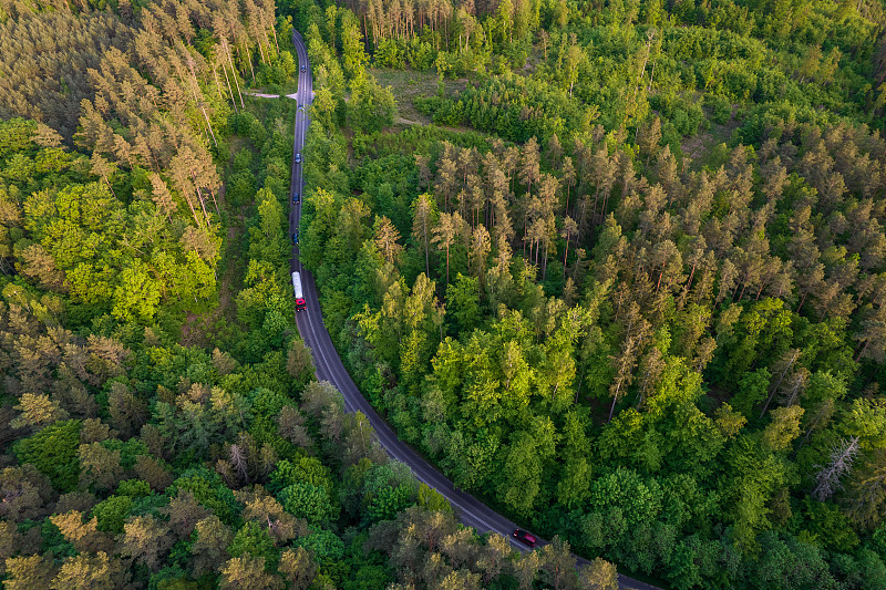 穿过森林的那条路。