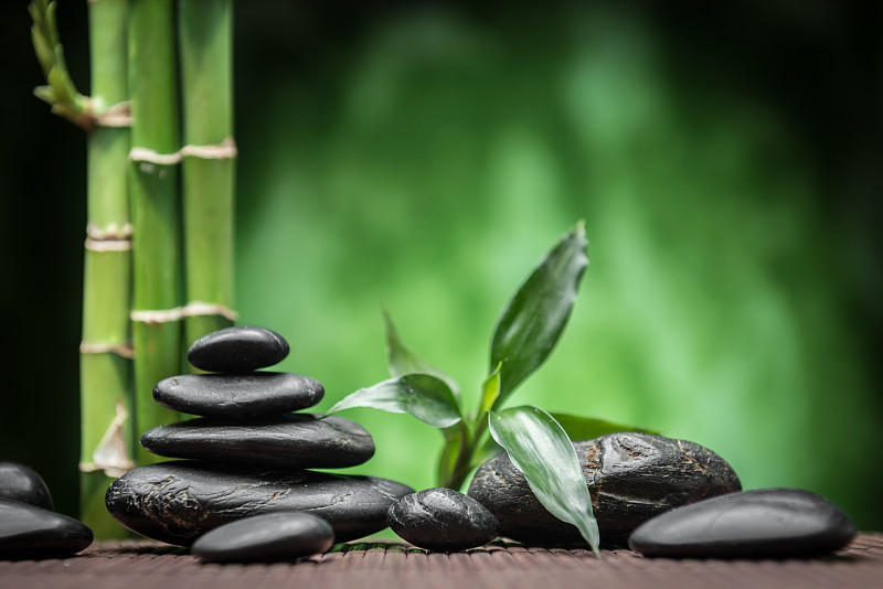 黑色的石头和竹子