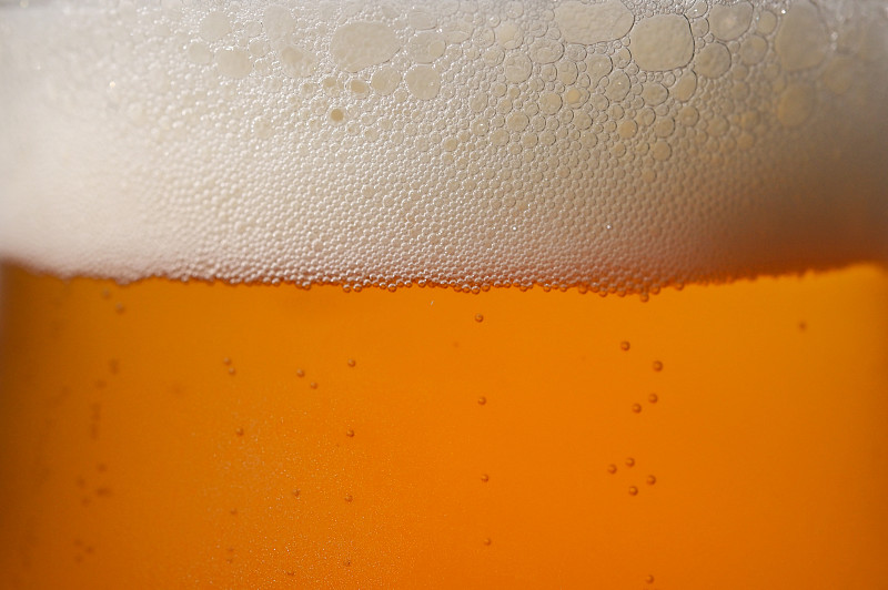 一品脱啤酒和泡沫在演播室拍摄