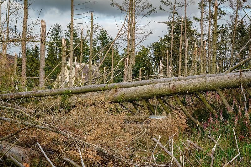 比德斯通老教堂的风暴破坏
