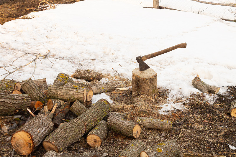 收割木柴，在树上砍斧头。农业的概念