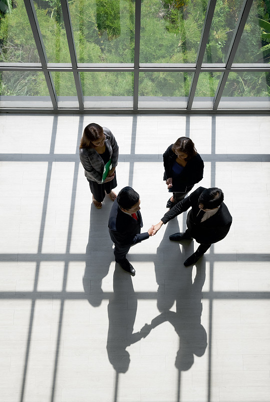 商业伙伴在现代办公室握手。站在窗边，阳光照在他们身上。木地板上有一个阴影