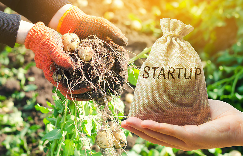 农业创业的概念。提高生产率，收获效率。创新的发展。投资农业。农业领域的智能现代技术。环境。预算