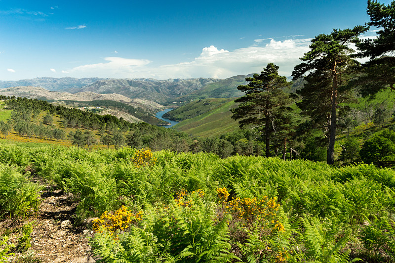 利马河谷，葡萄牙