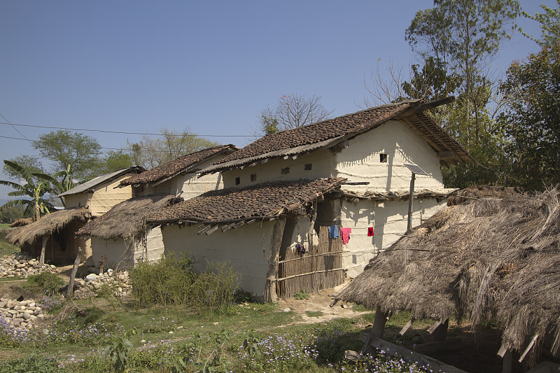 尼泊尔Terai的传统taru房屋