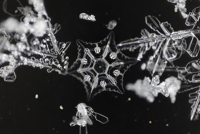 自然雪花的极端特写