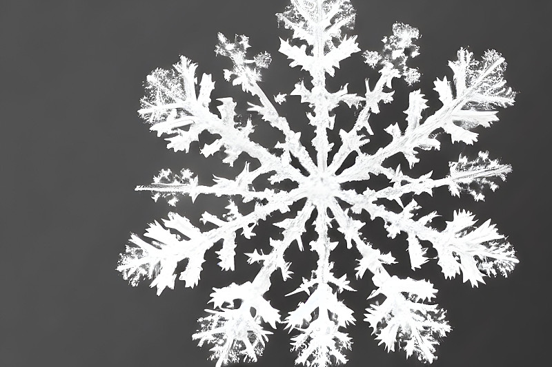 美丽雪花的特写镜头