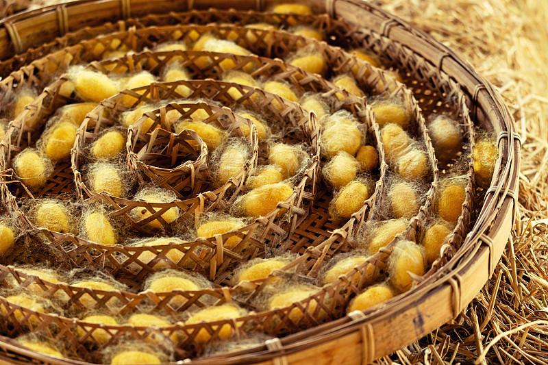 纺织业中的蚕纤维。