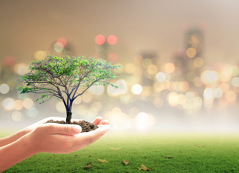 世界环境日概念