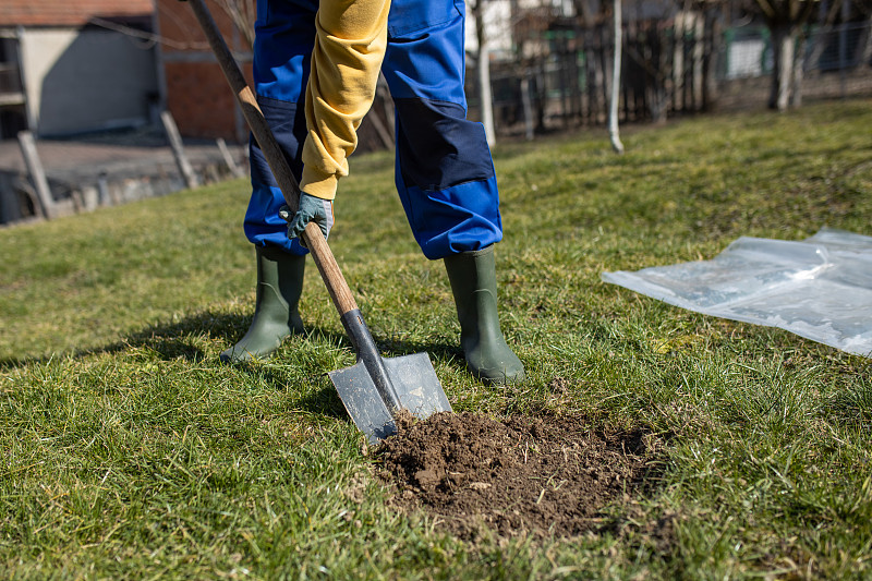 一个年轻人在他的院子里用铁锹挖了一个洞来种一棵梨树。